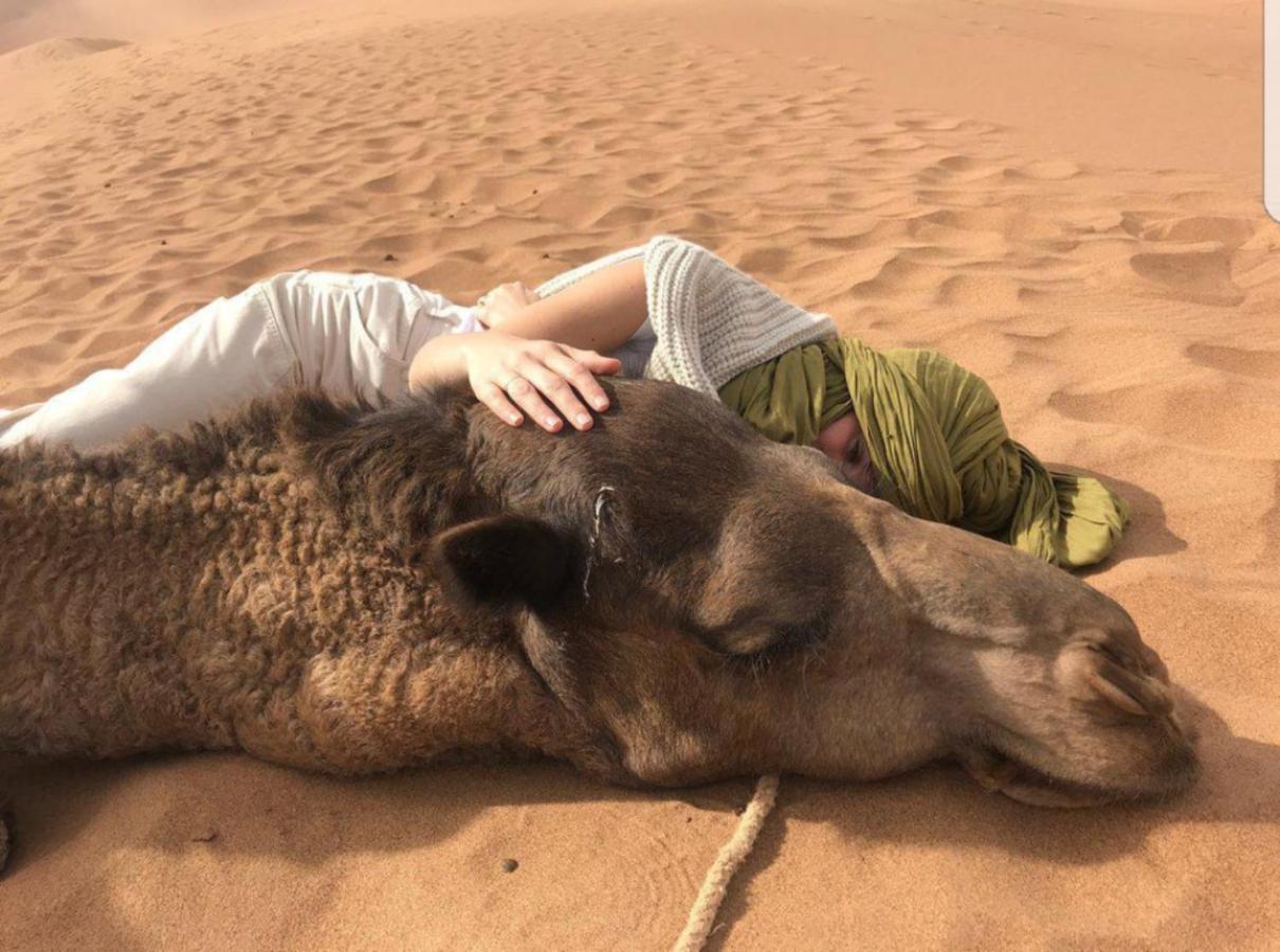 ホテル Sahara Family Camp メルズーガ エクステリア 写真